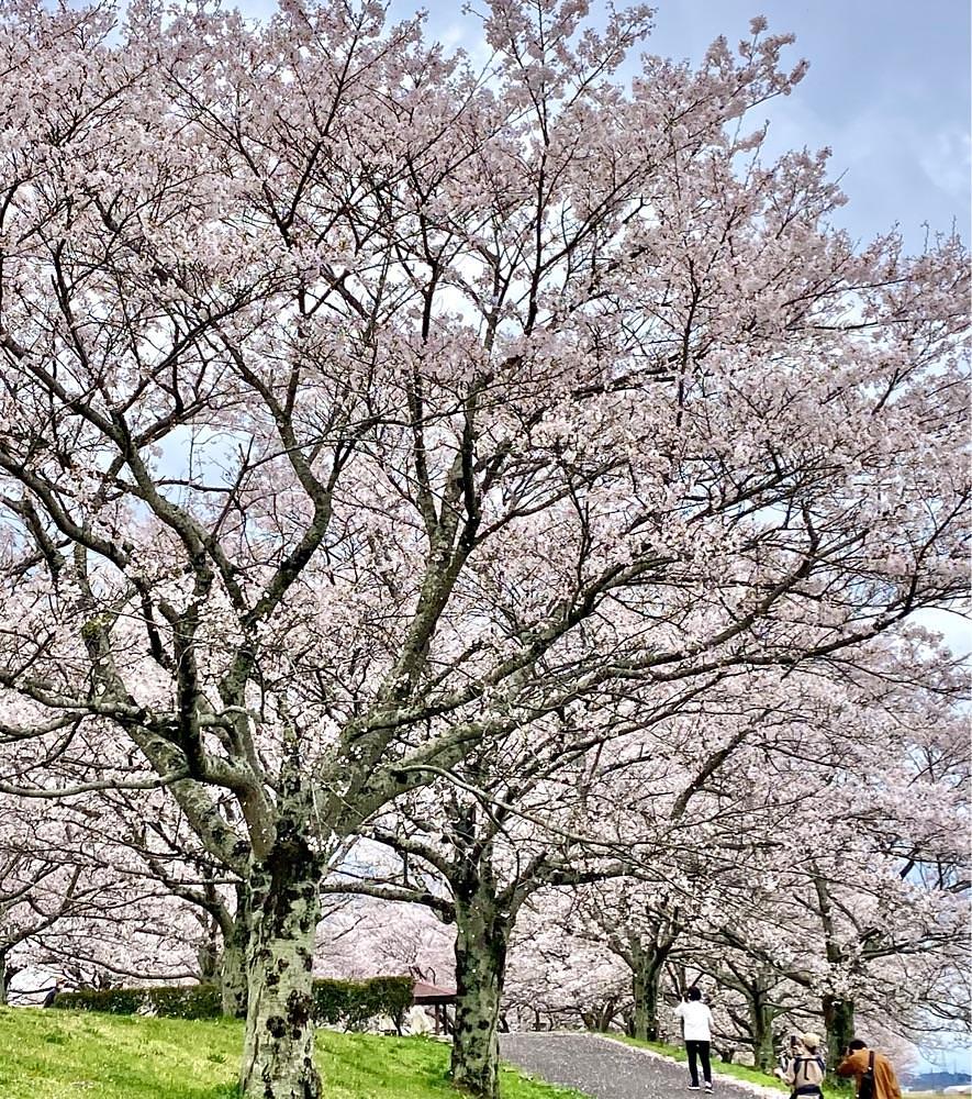 calm_gift_1030さんが投稿した白沢公園に関する口コミの画像
