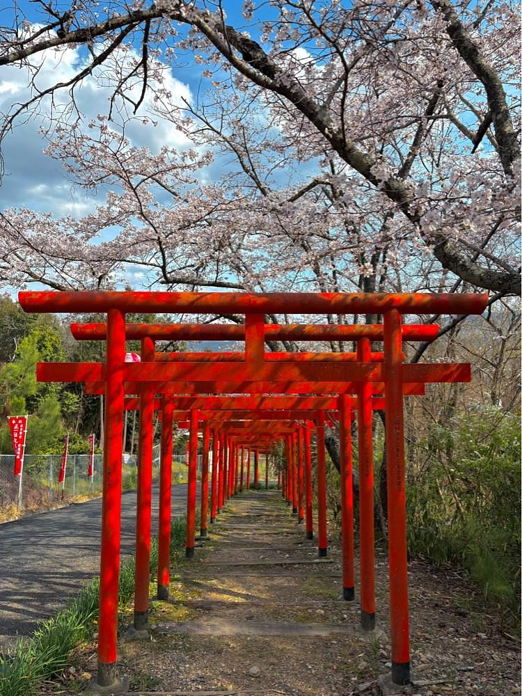 nicanさんが投稿した隅田八幡神社に関する口コミの画像
