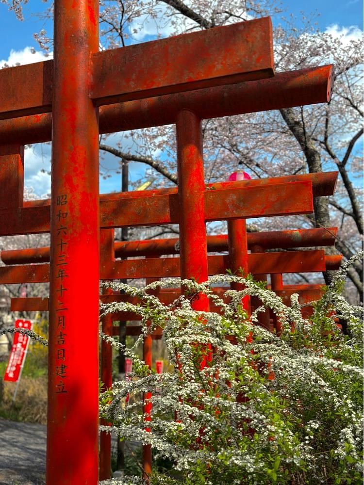 nicanさんが投稿した隅田八幡神社に関する口コミの画像
