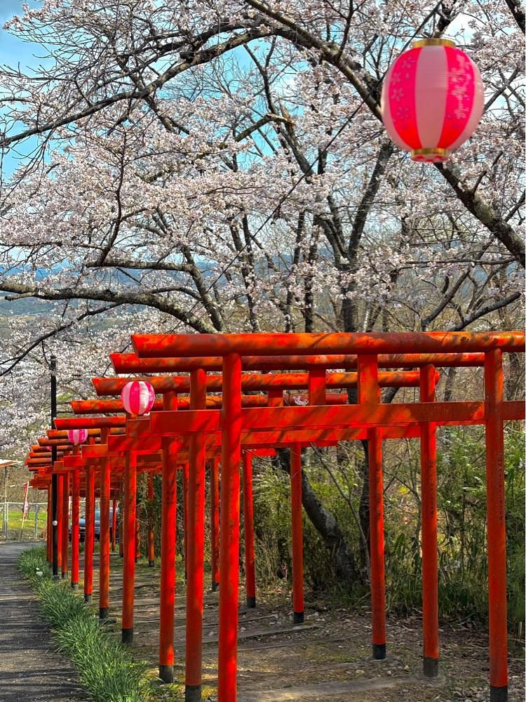 nicanさんが投稿した隅田八幡神社に関する口コミの画像