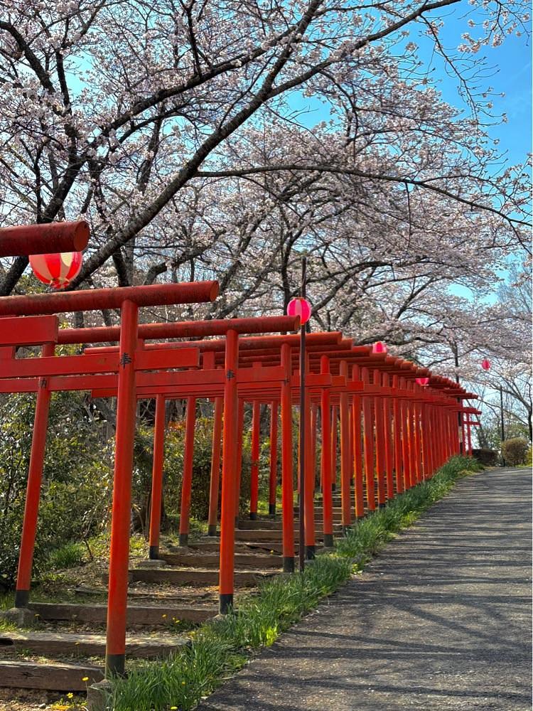 nicanさんが投稿した隅田八幡神社に関する口コミの画像