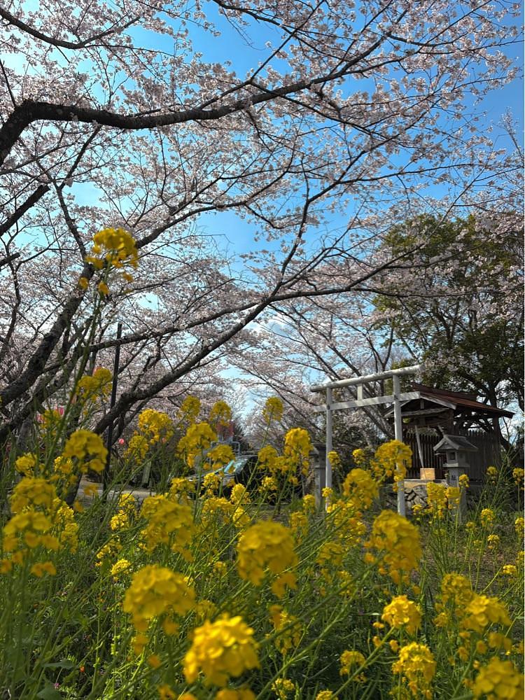 nicanさんが投稿した隅田八幡神社に関する口コミの画像