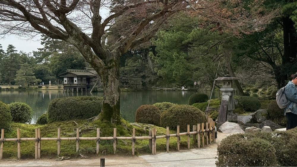 たか富山人さんが投稿した兼六園の桜に関する口コミの画像