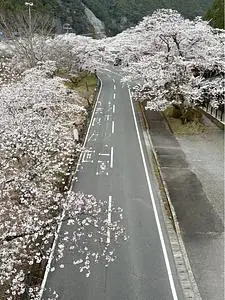 下北山スポーツ公園若者センター
