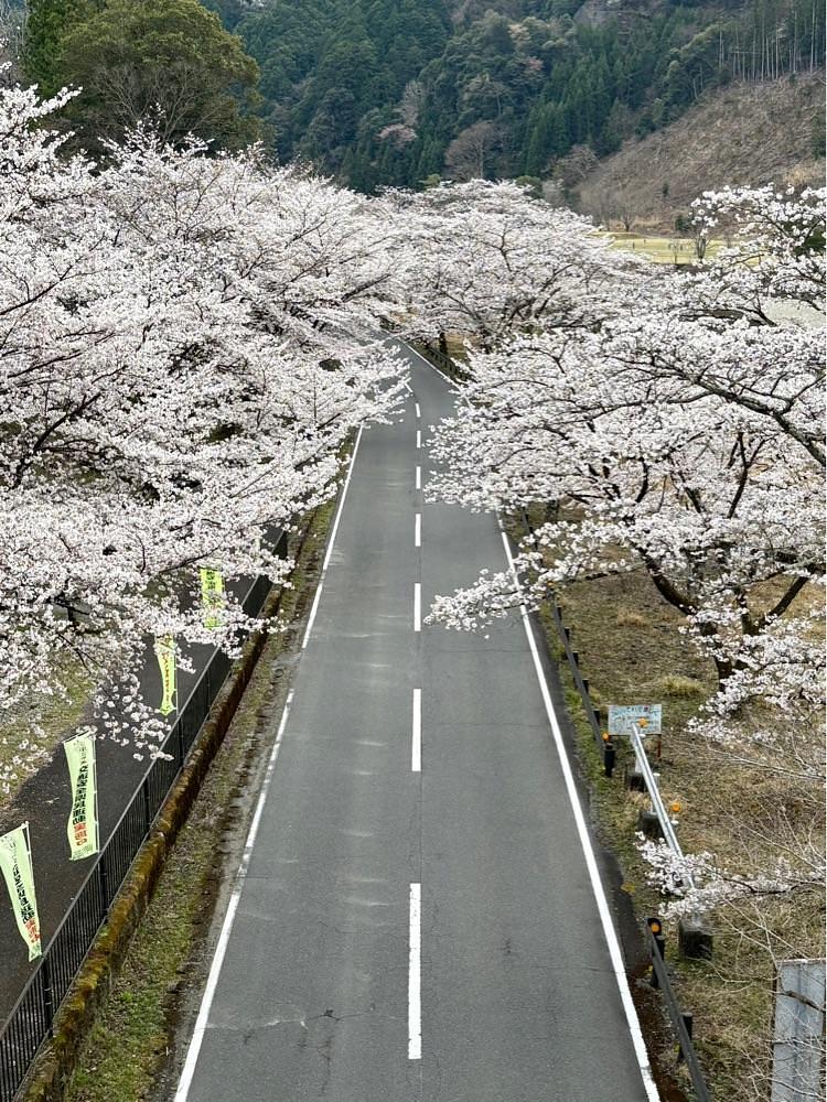 nicanさんが投稿した下北山スポーツ公園若者センターに関する口コミの画像