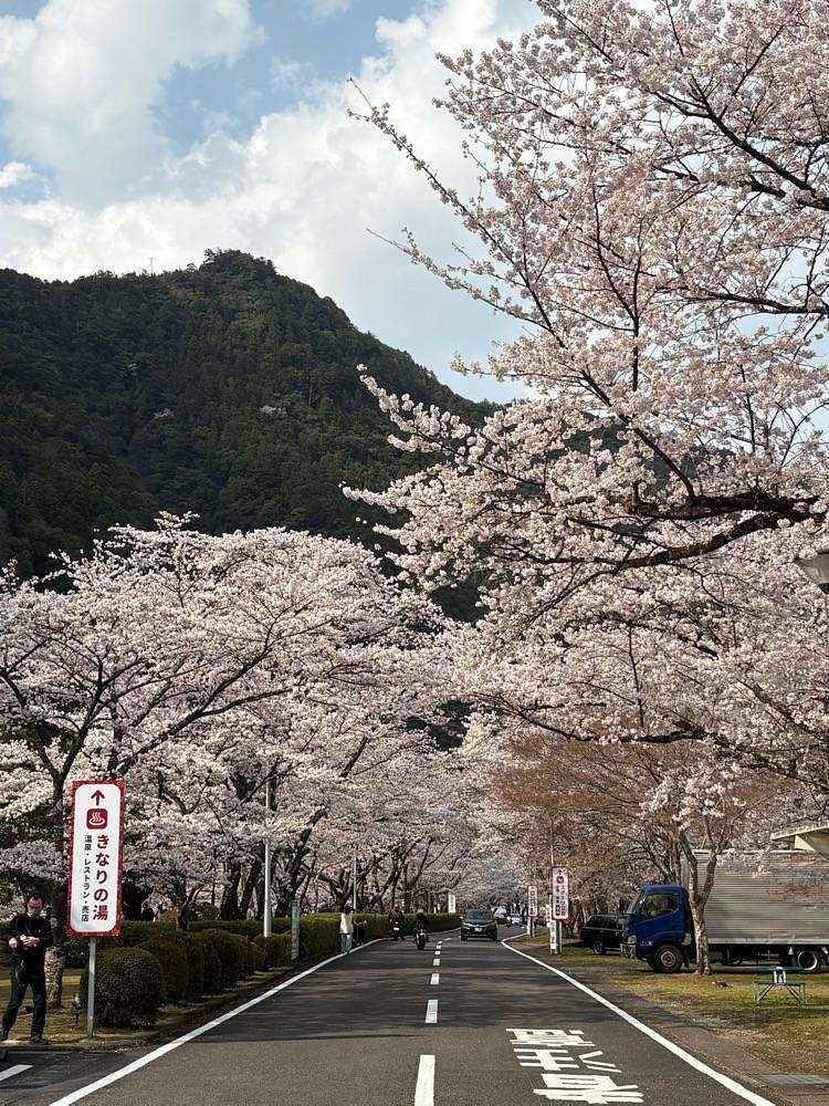 nicanさんが投稿した下北山スポーツ公園若者センターに関する口コミの画像
