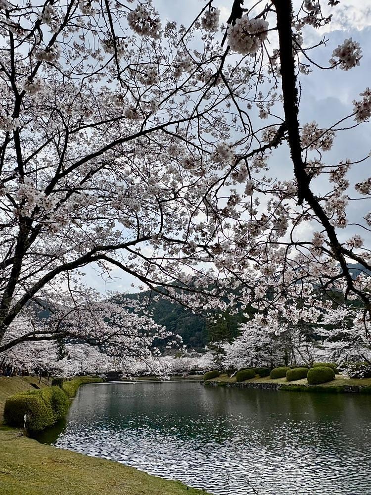 nicanさんが投稿した下北山スポーツ公園若者センターに関する口コミの画像
