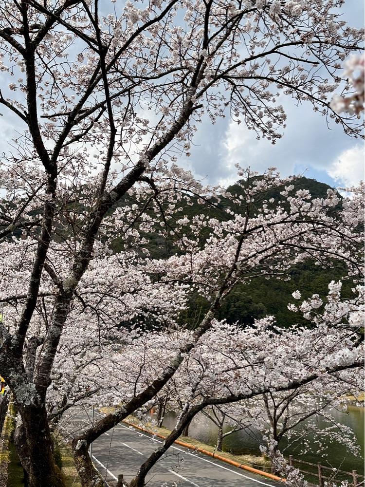 nicanさんが投稿した下北山スポーツ公園若者センターに関する口コミの画像