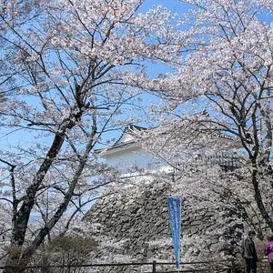 亀山城跡