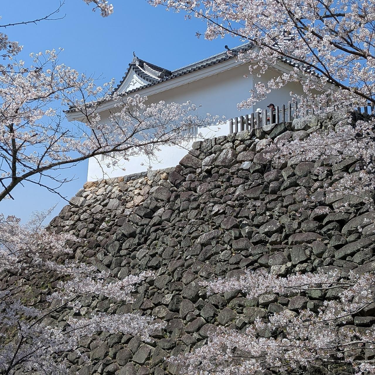 ぬっくさんが投稿した亀山城跡に関する口コミの画像