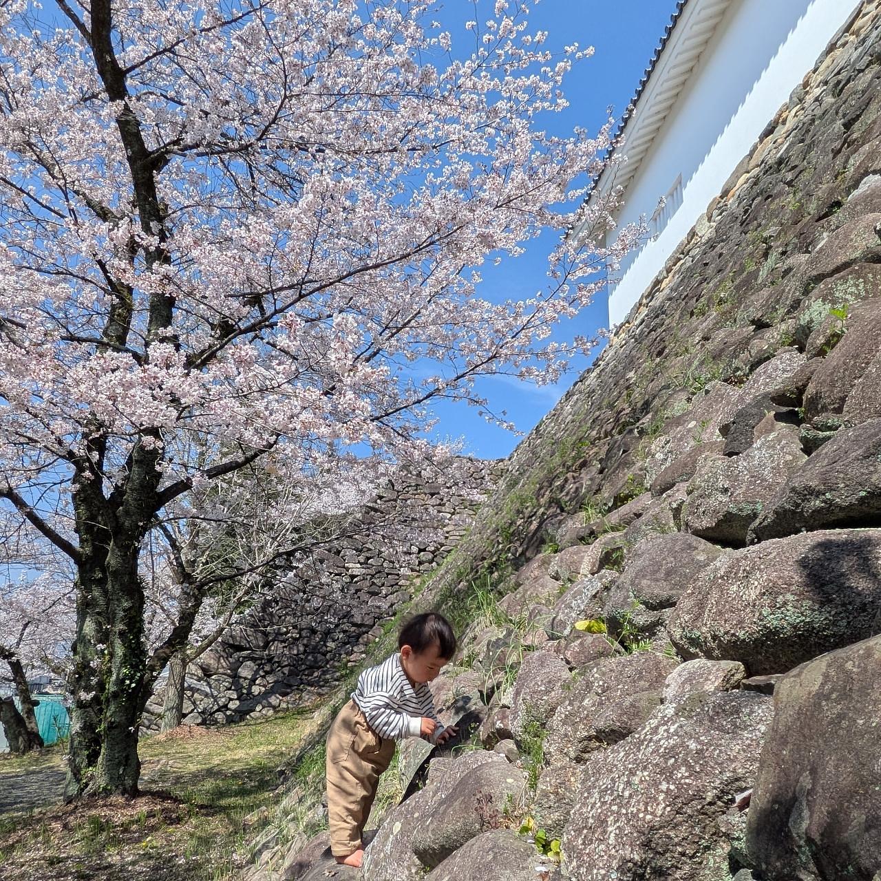ぬっくさんが投稿した亀山城跡に関する口コミの画像