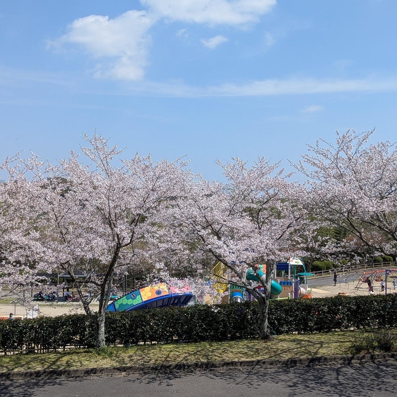 ぬっくさんが投稿した亀山城跡に関する口コミの画像