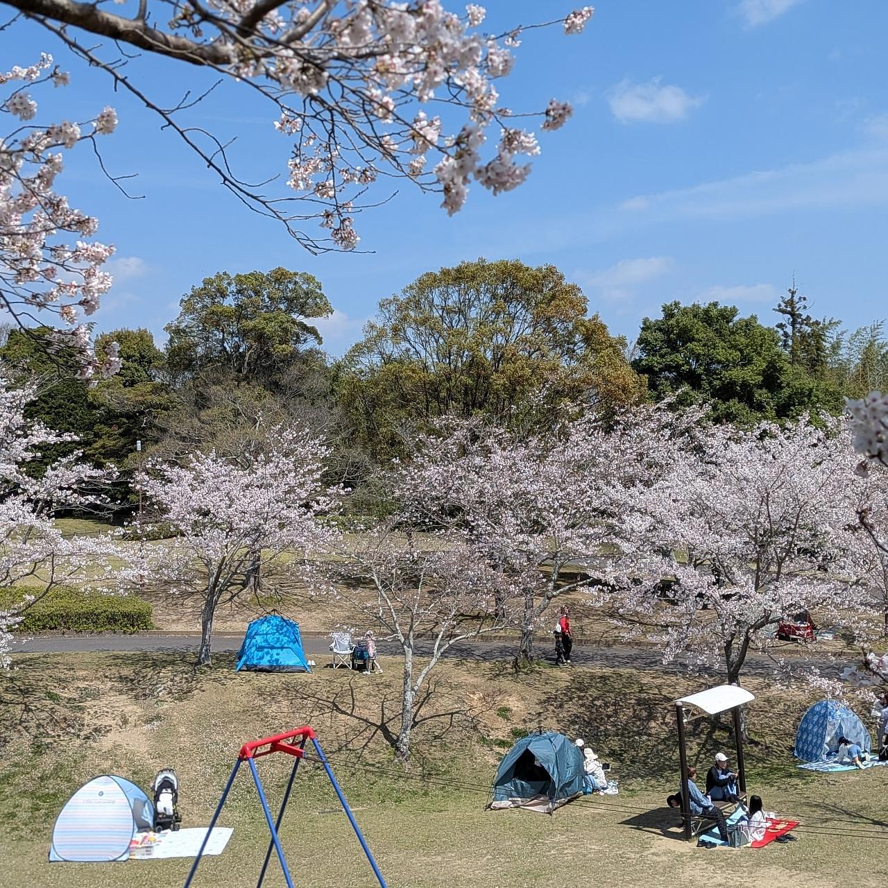 ぬっくさんが投稿した亀山城跡に関する口コミの画像
