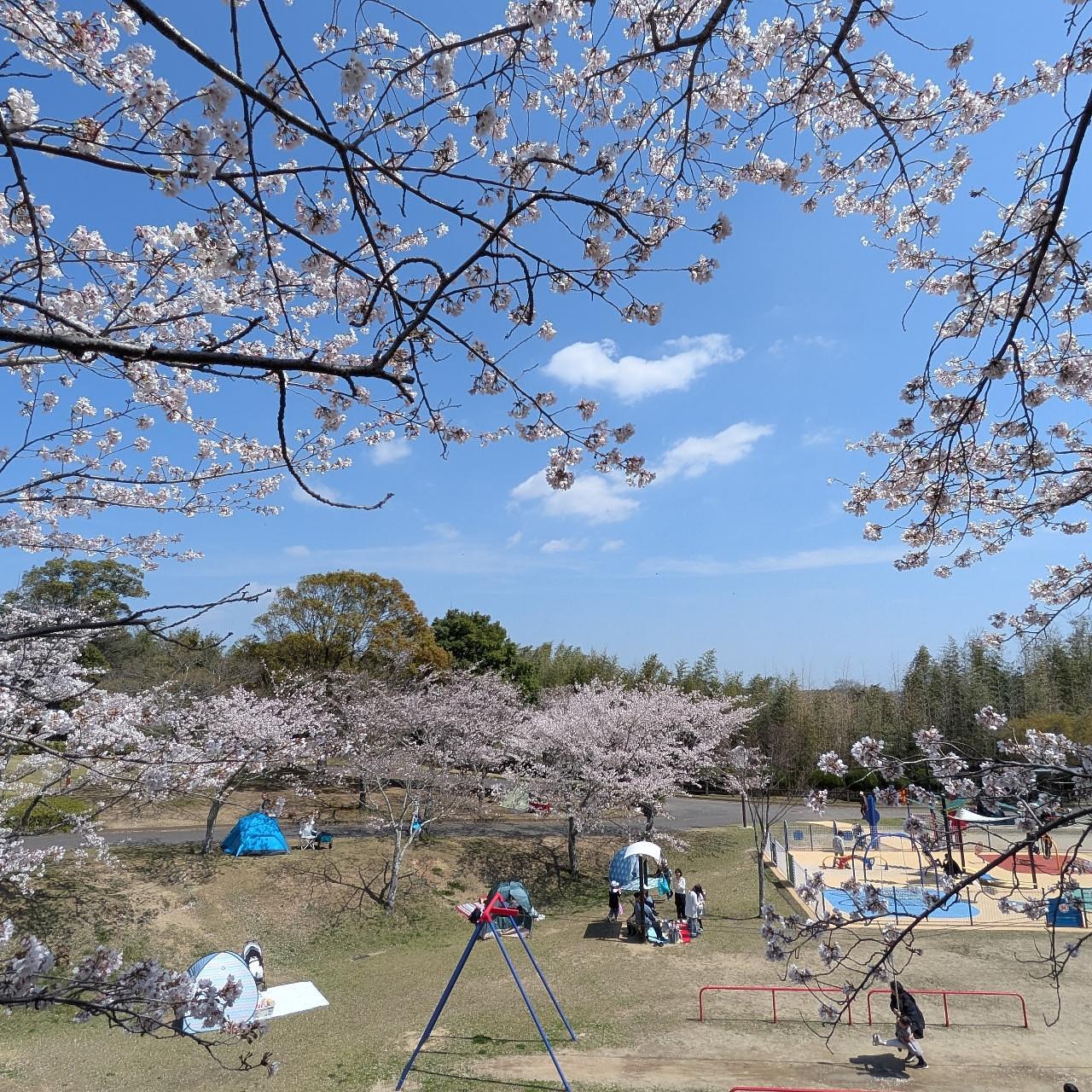 ぬっくさんが投稿した亀山城跡に関する口コミの画像