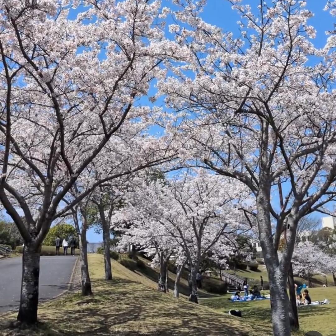 ぬっくさんが投稿した亀山城跡に関する口コミの画像