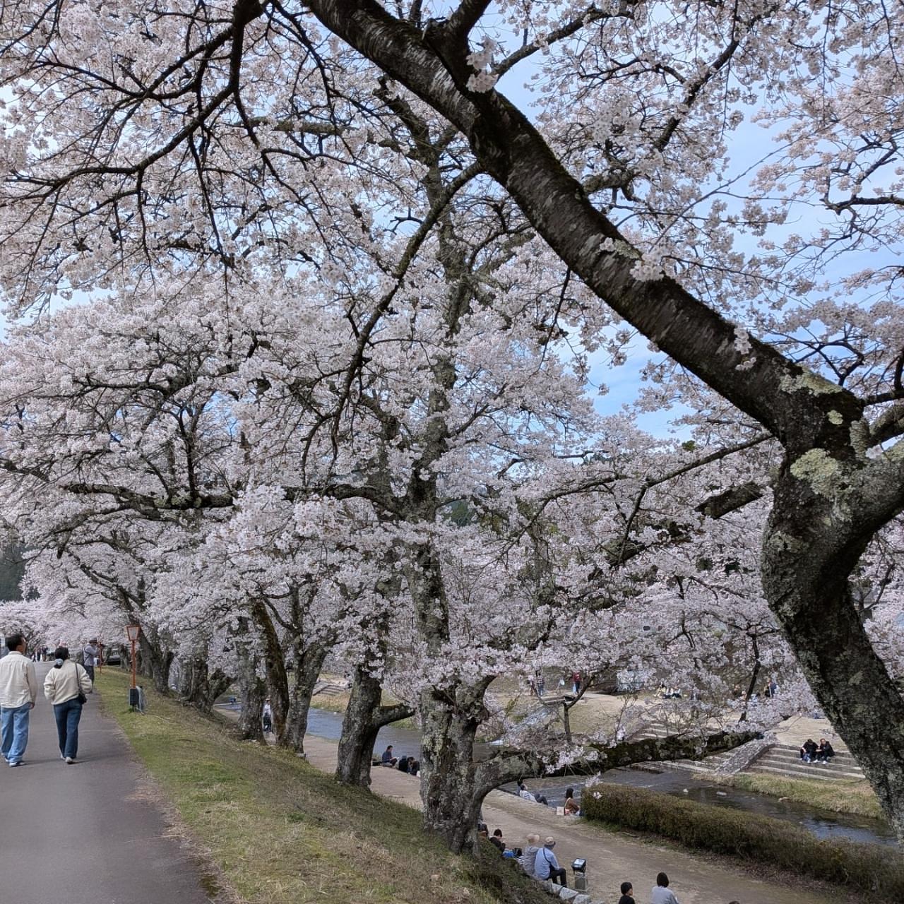 ぬっくさんが投稿したアウトドアスペース TAKITSUBOに関する口コミの画像