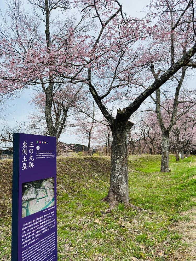 かめ_メグミさんが投稿した源吾茶屋に関する口コミの画像