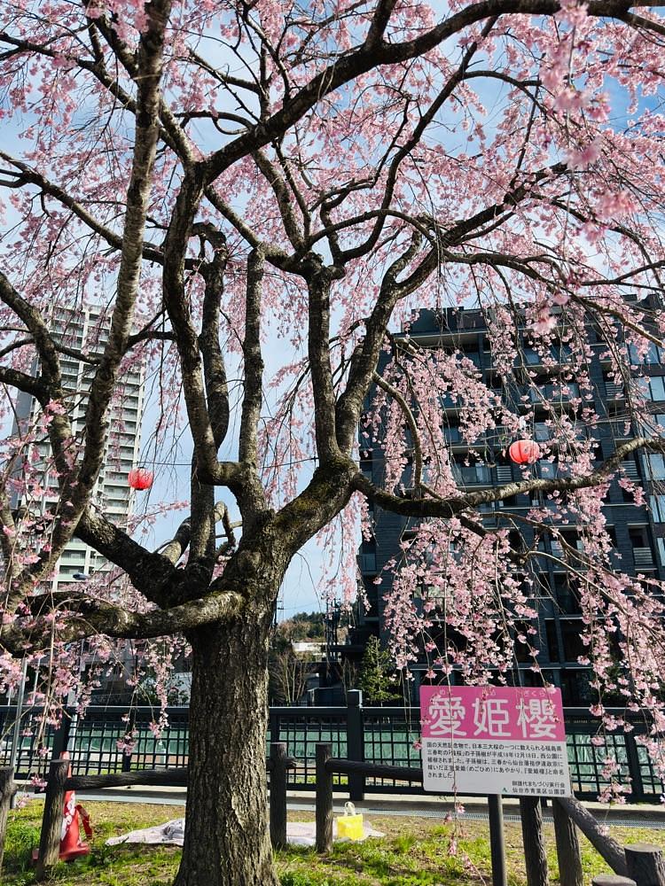 かめ_メグミさんが投稿した源吾茶屋に関する口コミの画像