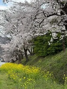 霧積ブルワリー