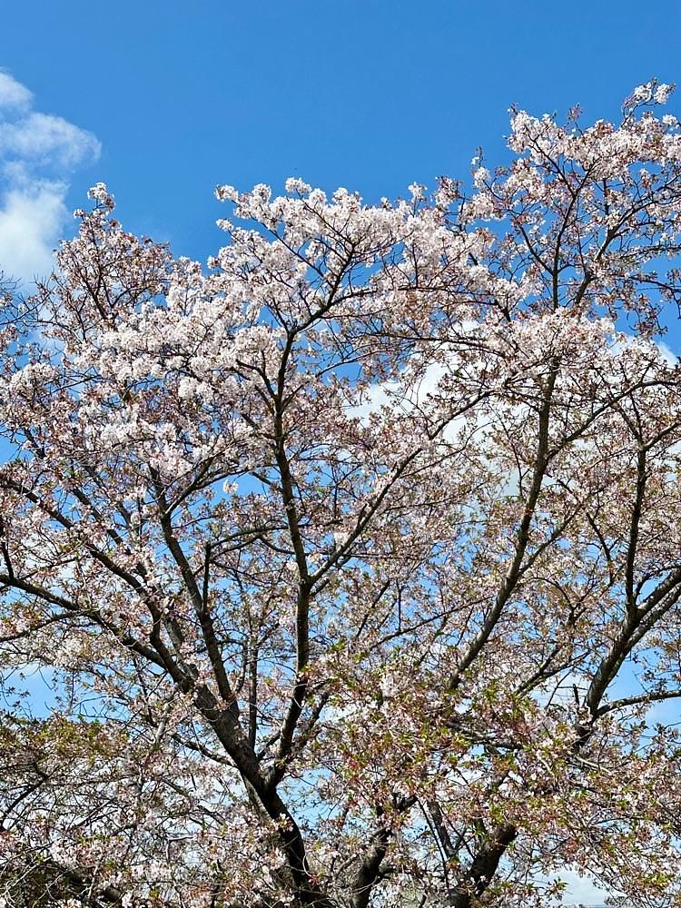 からっ風②さんが投稿した群馬の水郷に関する口コミの画像