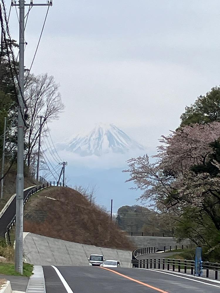Nさんが投稿した新府桃源郷のモモに関する口コミの画像