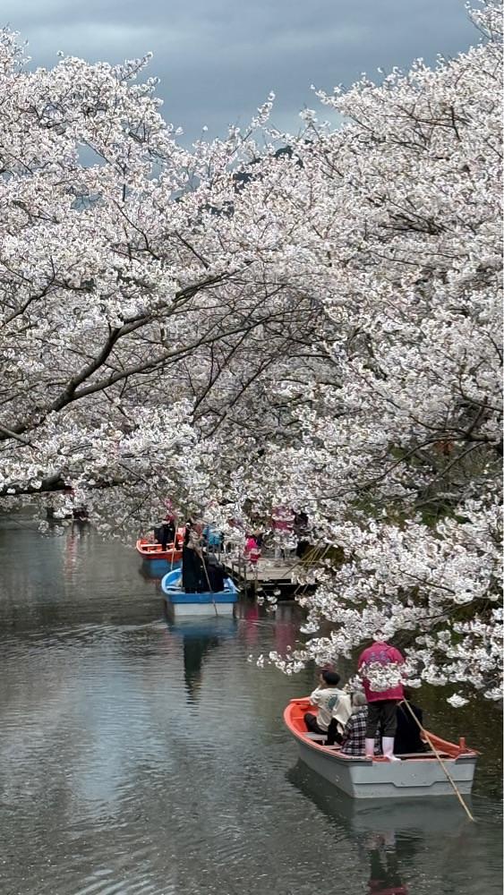 みぃさんが投稿した勝浦町に関する口コミの画像