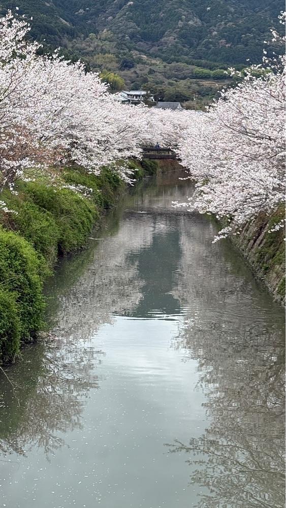 みぃさんが投稿した勝浦町に関する口コミの画像