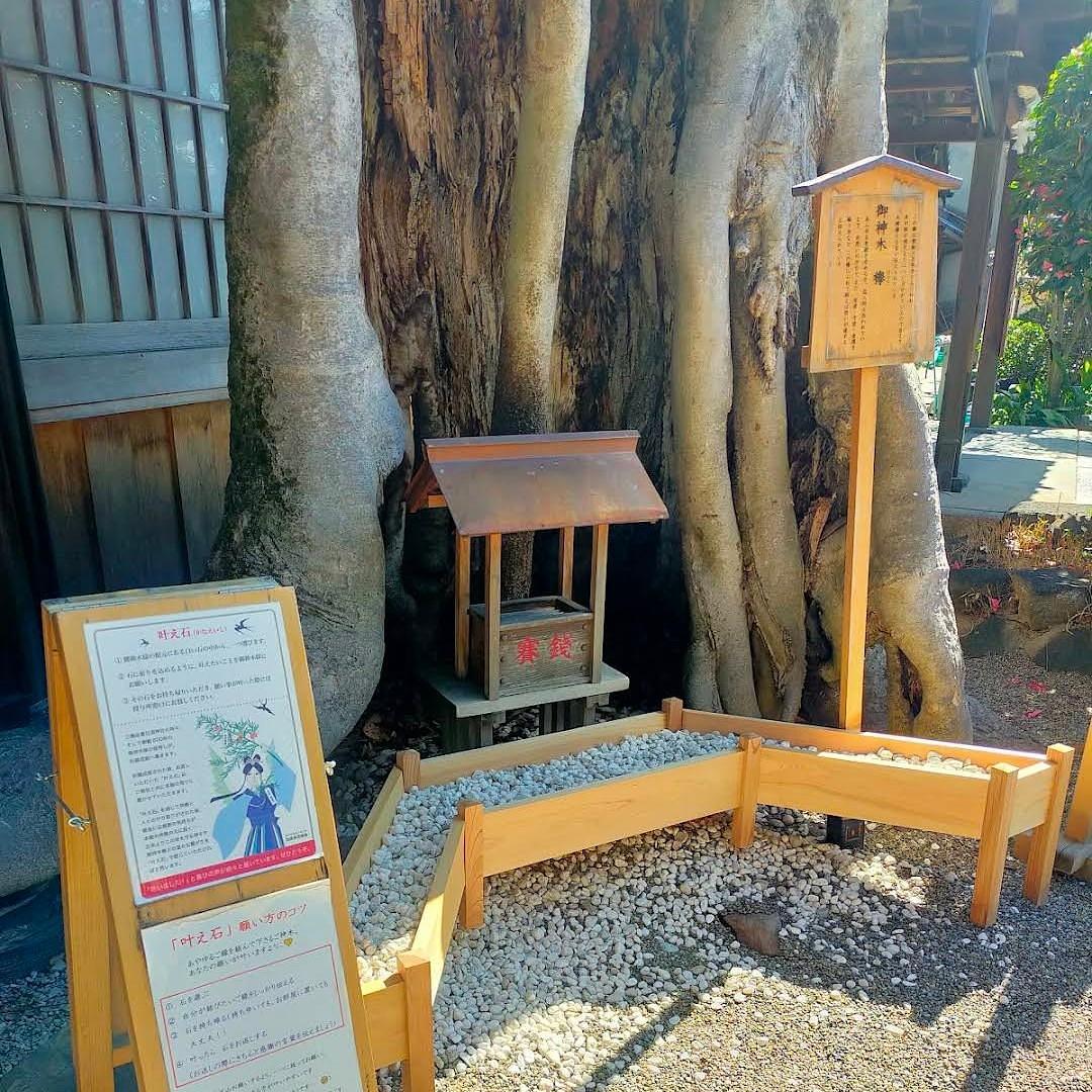 ぬっくさんが投稿した三輪駅に関する口コミの画像