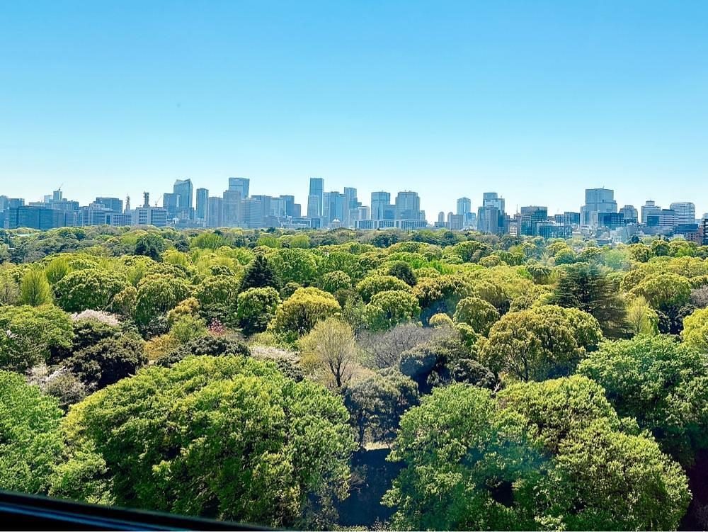 active34さんが投稿したオークラカフェ&レストラン メディコに関する口コミの画像