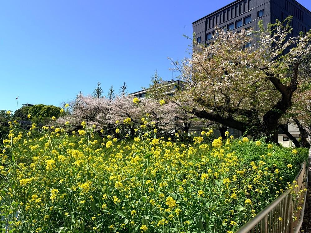 active34さんが投稿したオークラカフェ&レストラン メディコに関する口コミの画像