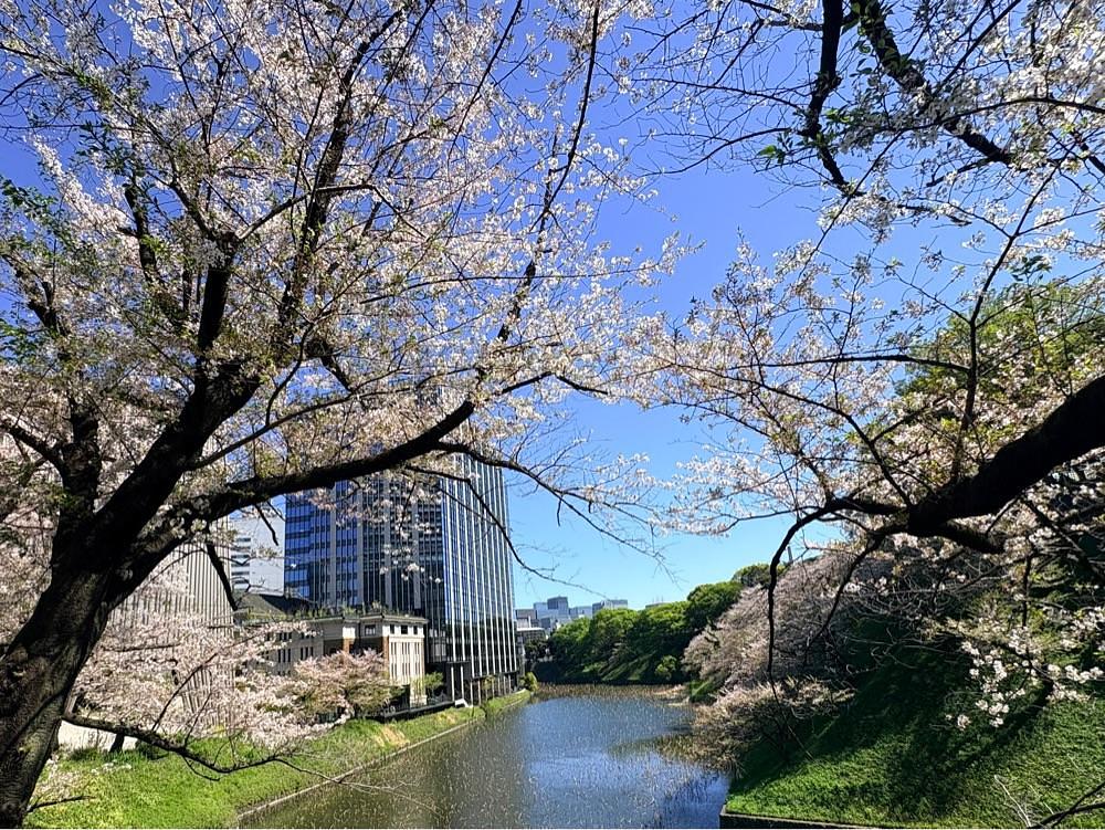 active34さんが投稿したオークラカフェ&レストラン メディコに関する口コミの画像