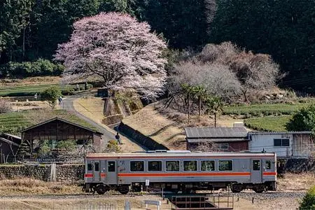 ラーメン山