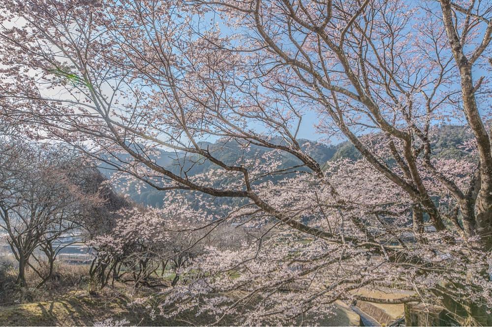 佳さんが投稿したラーメン山に関する口コミの画像