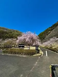 まつだ湖畔キャンプ場