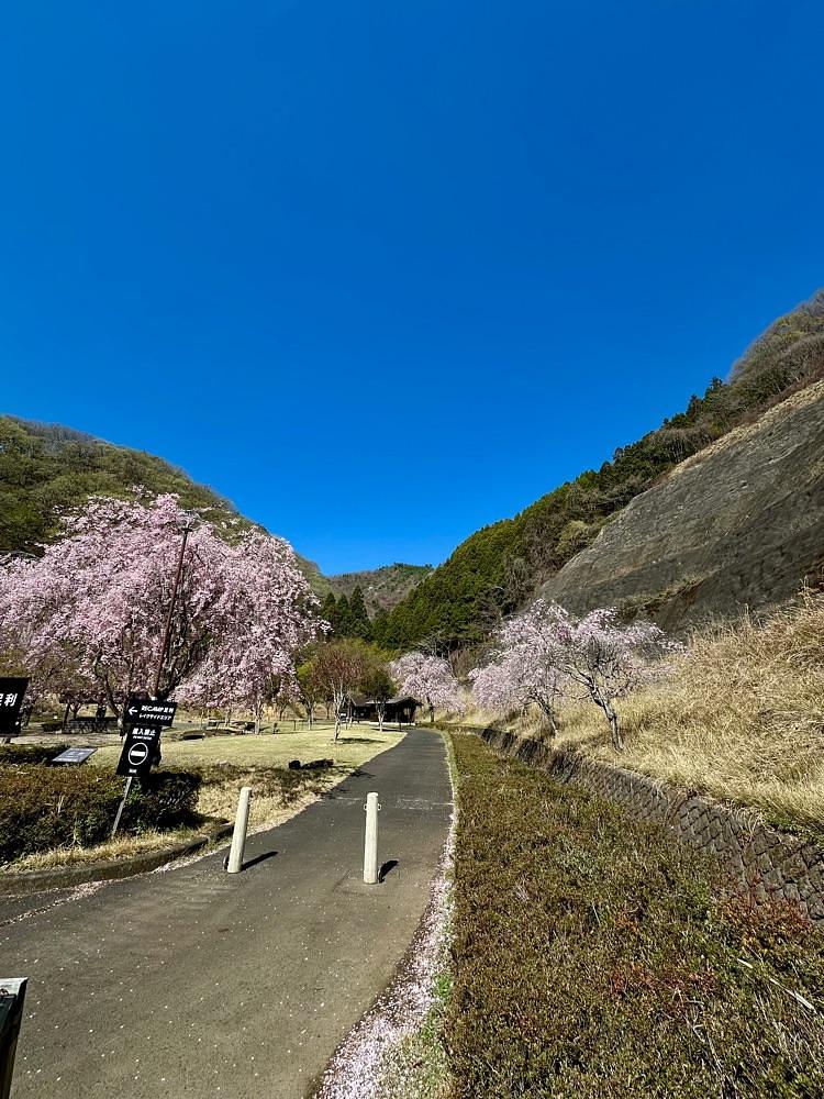 からっ風②さんが投稿したまつだ湖畔キャンプ場に関する口コミの画像