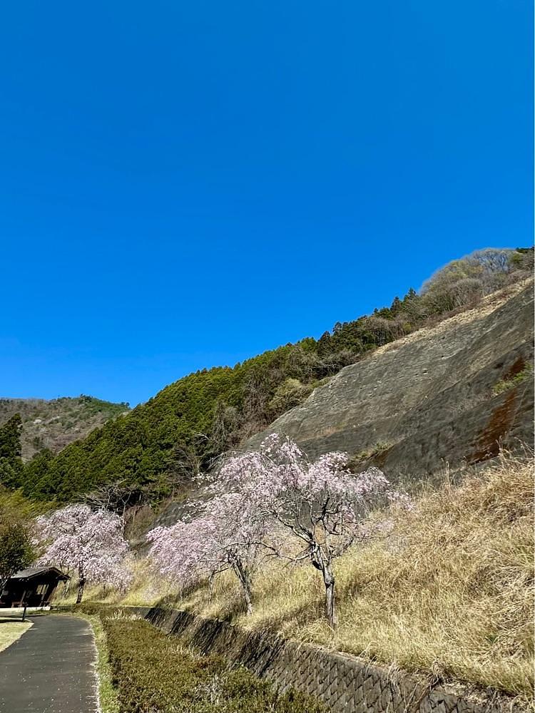 からっ風②さんが投稿したまつだ湖畔キャンプ場に関する口コミの画像