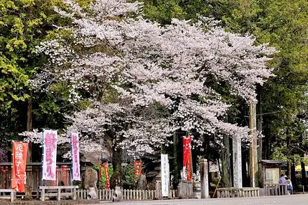 光丸山法輪寺