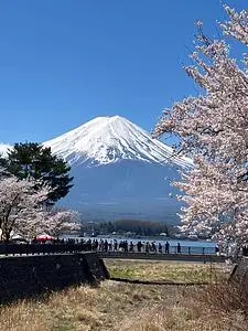 河口湖円形ホール