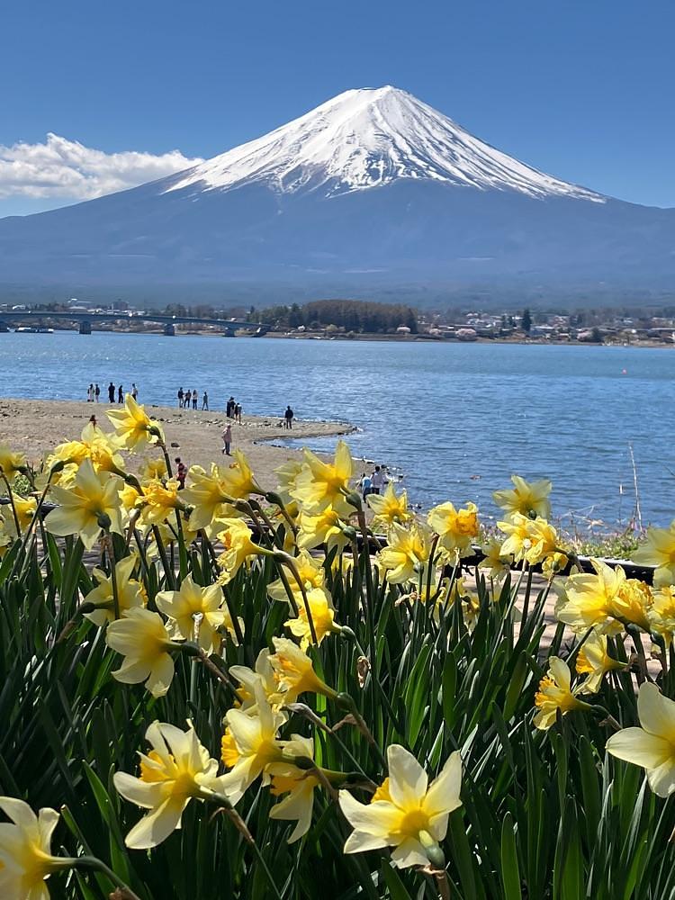 Nさんが投稿した河口湖円形ホールに関する口コミの画像