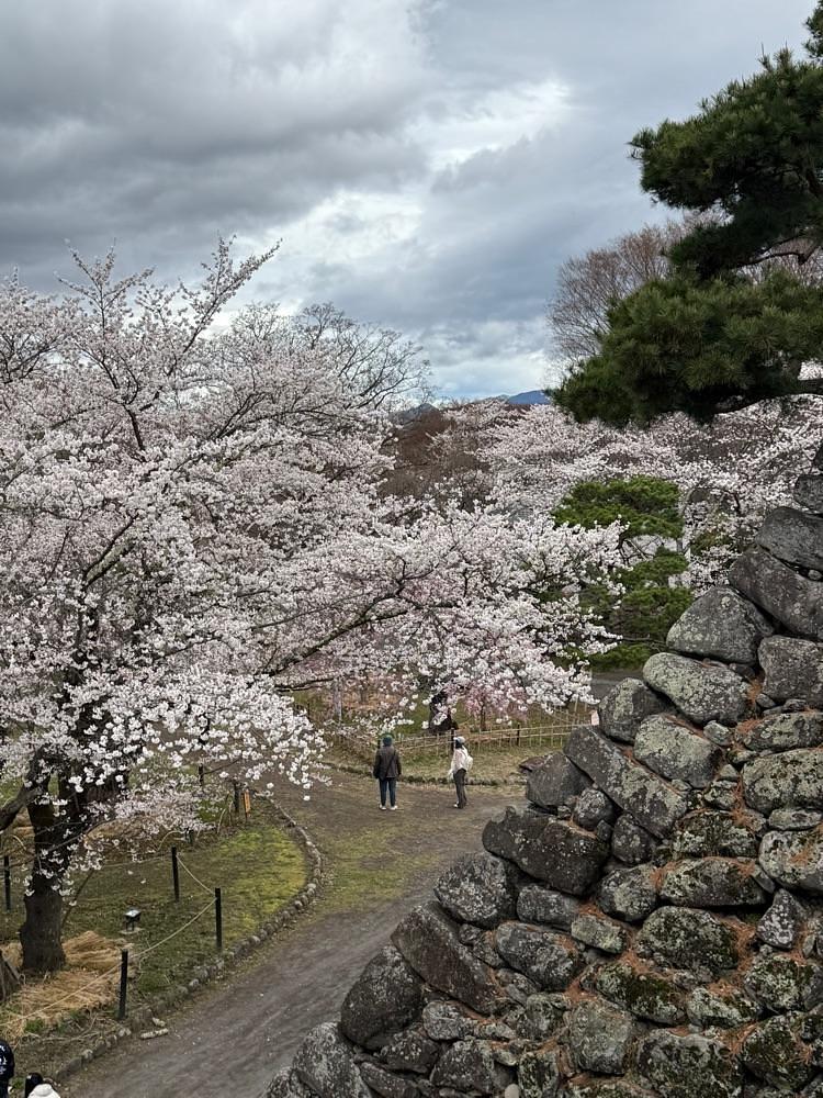 junさんが投稿した千曲川旅情の歌の碑に関する口コミの画像