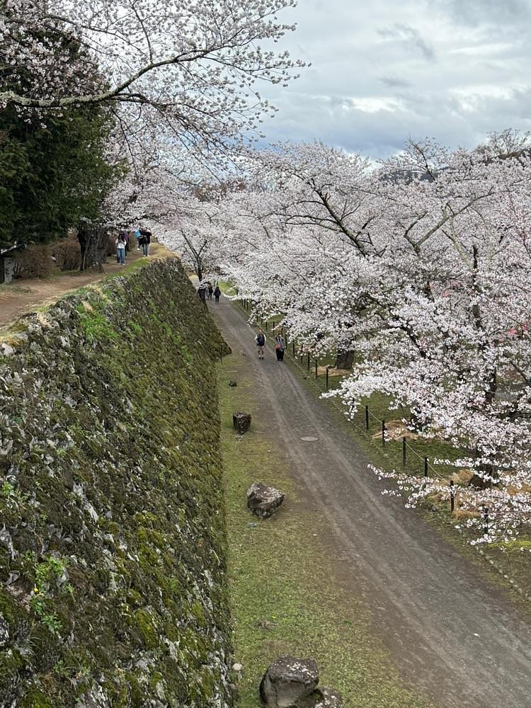 junさんが投稿した千曲川旅情の歌の碑に関する口コミの画像