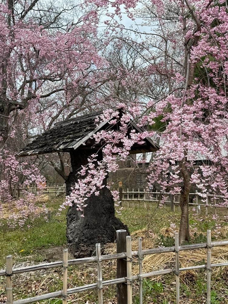 junさんが投稿した千曲川旅情の歌の碑に関する口コミの画像