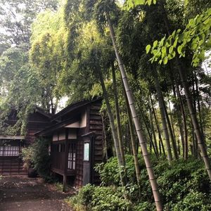 県立相模原公園
