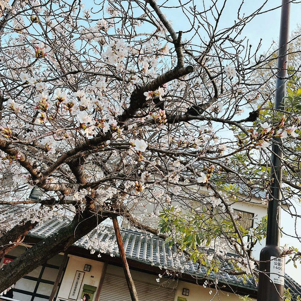 Danjouさんが投稿した高槻城跡公園に関する口コミの画像