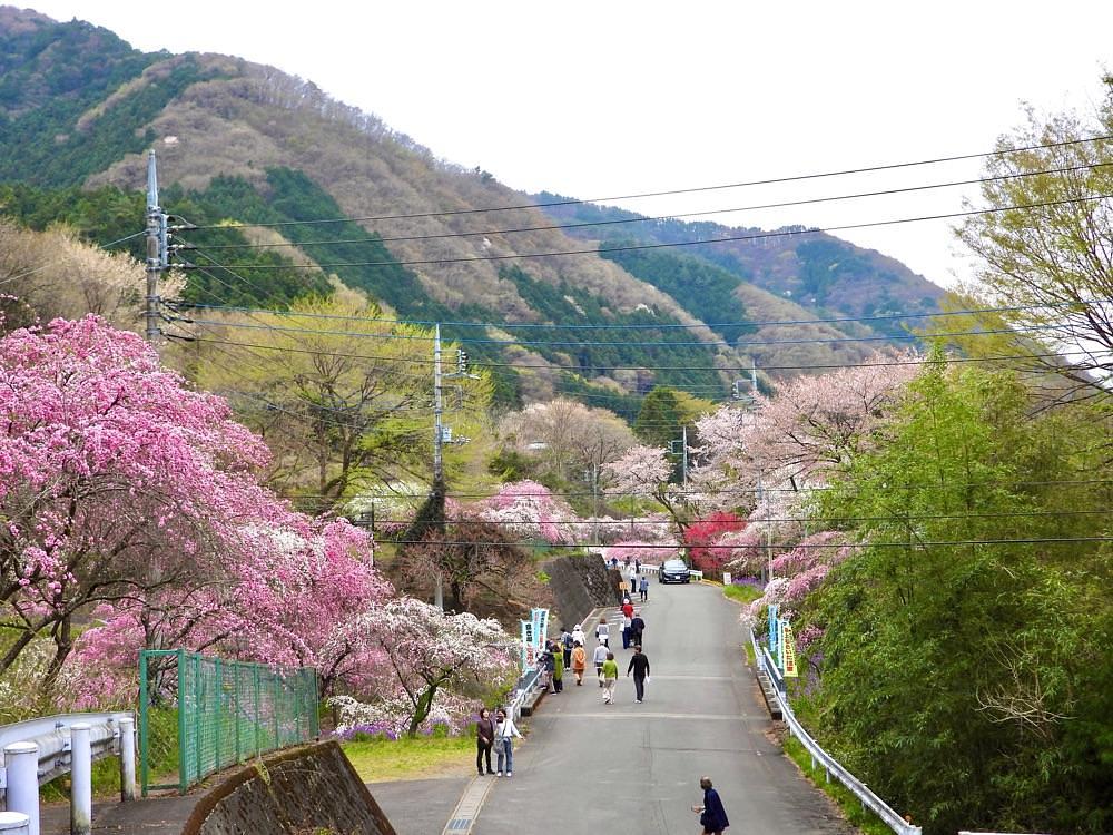 calm_gift_1030さんが投稿した花輪駅に関する口コミの画像
