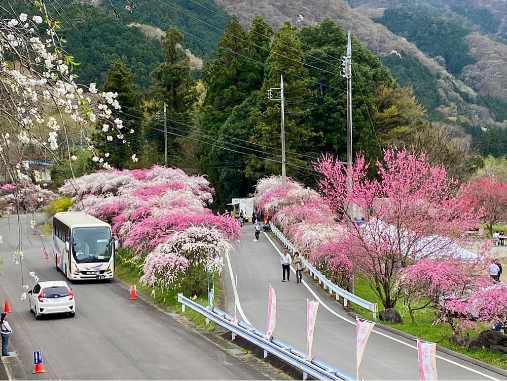 calm_gift_1030さんが投稿した花輪駅に関する口コミの画像