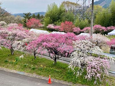 施設画像