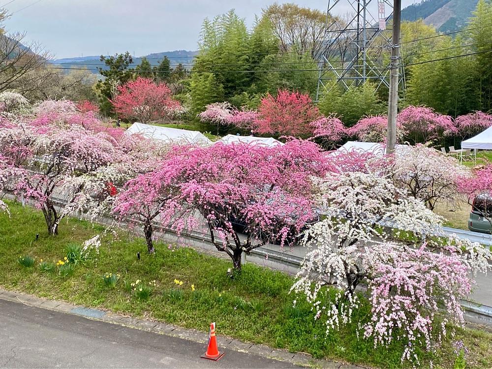 calm_gift_1030さんが投稿した花輪駅に関する口コミの画像