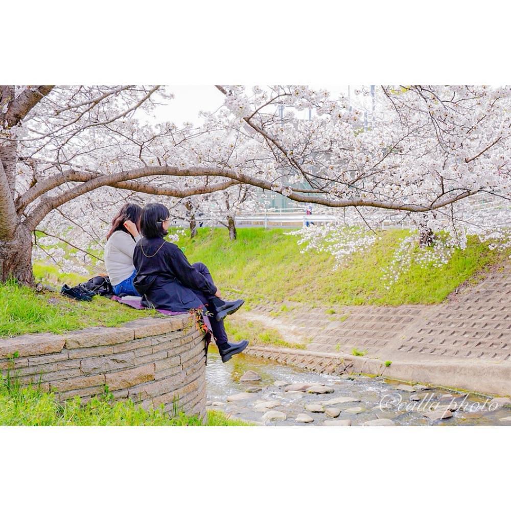 urban_garden_243aさんが投稿した佐保川に関する口コミの画像