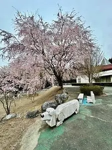 童謡ふるさと館